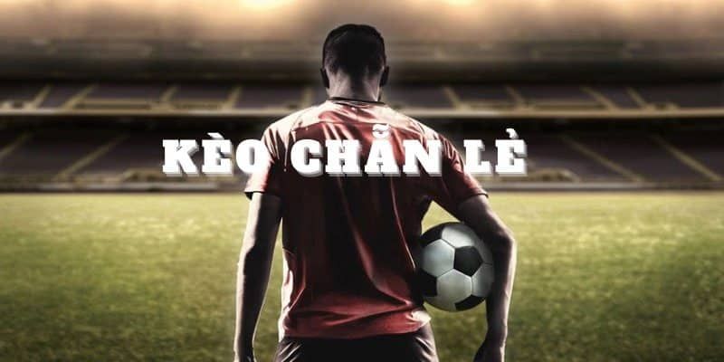 Cách đặt kèo chẵn lẻ không chỉ là lựa chọn may rủi