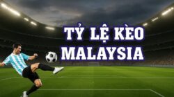 Tỷ lệ cá cược Malaysia là gì? Tìm hiểu chi tiết từ A đến Z
